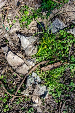Saygısız insanların yola yakın bıraktığı plastik şişe doğada kaldı. Çevre kirliliğine bir örnek