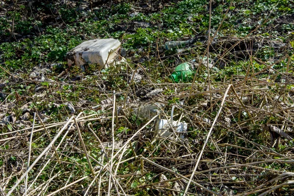 Botella Plástico Dejada Naturaleza Cerca Carretera Por Personas Irrespetuosas Ejemplo —  Fotos de Stock