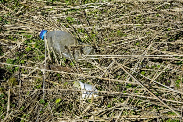 Пластиковая Бутылка Оставленная Природе Рядом Дорогой Недовольными Людьми Пример Загрязнения — стоковое фото