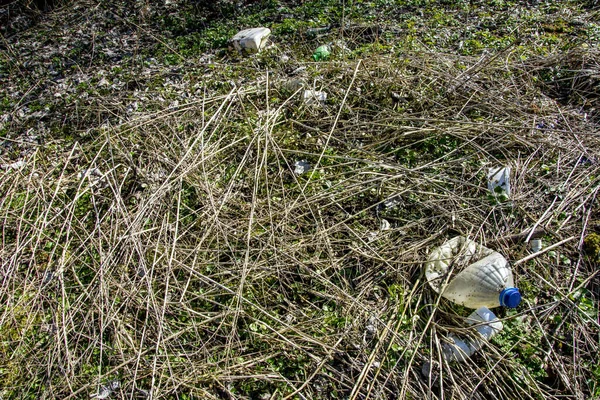 Пластиковая Бутылка Оставленная Природе Рядом Дорогой Недовольными Людьми Пример Загрязнения — стоковое фото