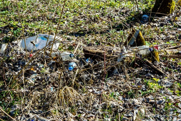 Botella Plástico Dejada Naturaleza Cerca Carretera Por Personas Irrespetuosas Ejemplo —  Fotos de Stock