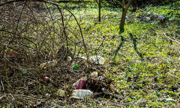 Botol Plastik Tertinggal Alam Dekat Dengan Jalan Oleh Orang Orang — Stok Foto