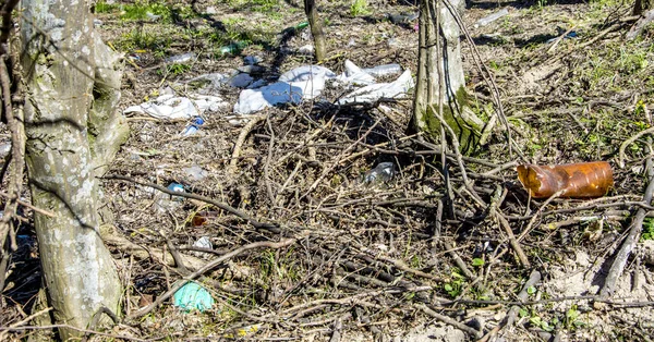 Plastikflaschen Die Respektlose Menschen Der Natur Straßenrand Zurückgelassen Haben Ein — Stockfoto