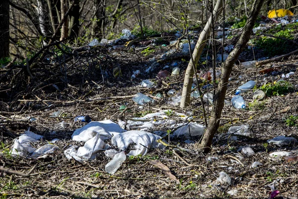 Botella Plástico Dejada Naturaleza Cerca Carretera Por Personas Irrespetuosas Ejemplo —  Fotos de Stock