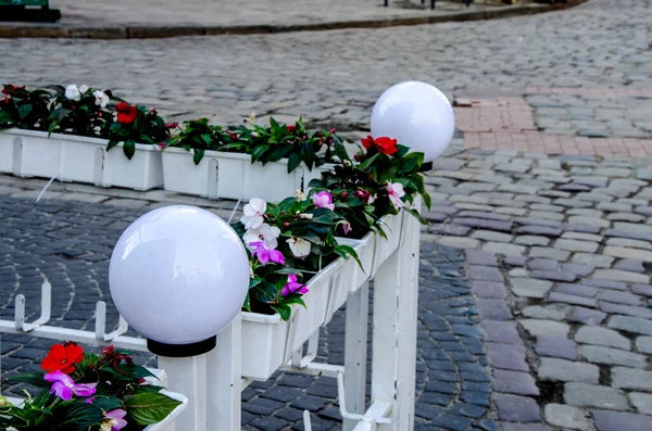 Lviv Ucrânia Julho 2020 Fora Café Dia Ensolarado Cidade Européia — Fotografia de Stock