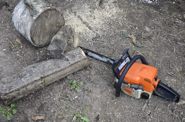 Lviv Oekraïne April 2021 Een Houthakker Kettingzaag Ligt Hout Zaagd — Stockfoto