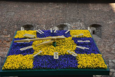 Lviv City Caddesi, Ukrayna 'da nonoş çiçekli büyük renkli bir saat. Mavi ve sarı çiçekli çiçek saati.