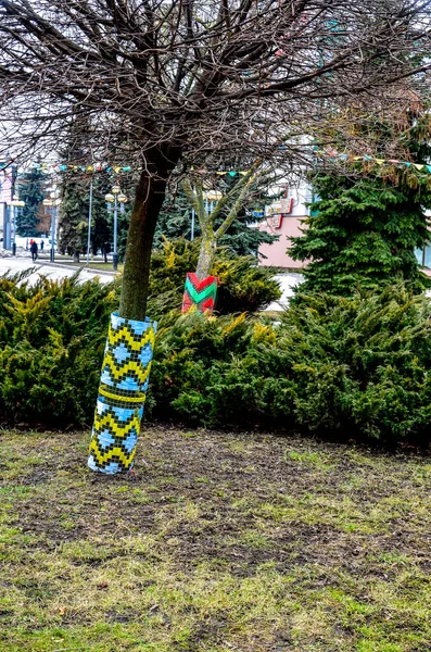 Det Rivne Ukraina Maj 2021 Träd Dekorerade Med Broderi Stadens — Stockfoto