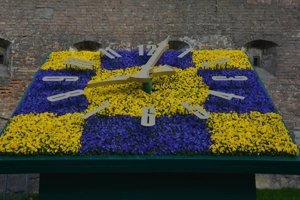 Grande Orologio Floreale Colorato Con Viscido Lviv Città Ucraino Orologio — Foto Stock