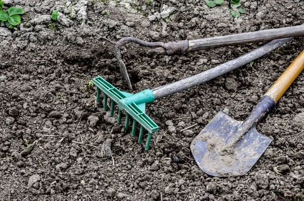 Oude Tuingereedschappen Tuingereedschap — Stockfoto