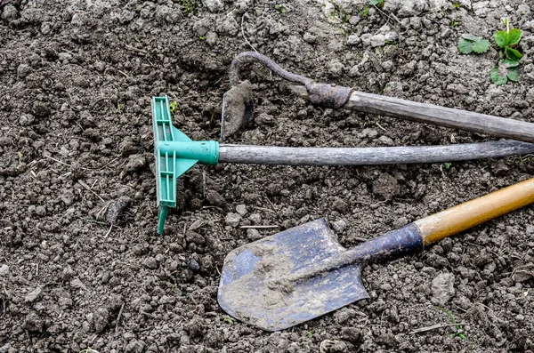 Oude Tuingereedschappen Tuingereedschap — Stockfoto