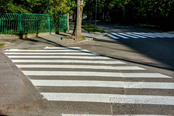 Crosswalk Road Safety People Walking Cross Street Crosswalk Street Safety — 图库照片