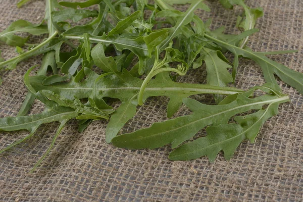 Frischer Grüner Rucola Einer Schüssel Auf Dem Tisch Arugula Rucola — Stockfoto