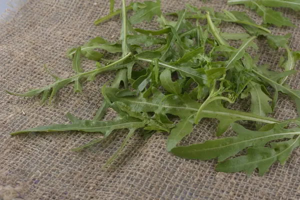 Fresh Green Arugula Bowl Table Arugula Rucola Salad Close Fresh — Stok fotoğraf