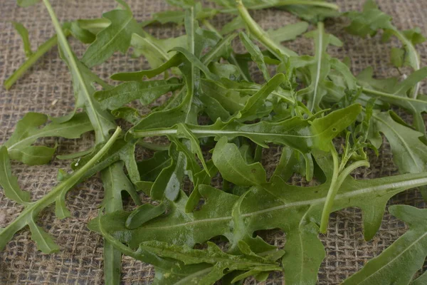 Fresh Green Arugula Bowl Table Arugula Rucola Salad Close Fresh — Stok fotoğraf