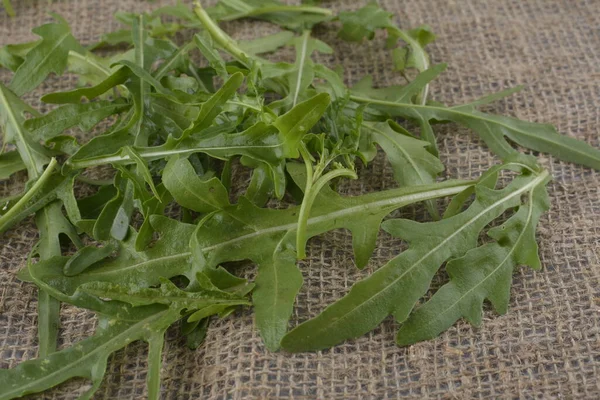 Fresh Green Arugula Bowl Table Arugula Rucola Salad Close Fresh — Stok fotoğraf