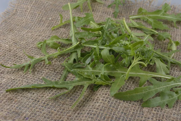 Fresh Green Arugula Bowl Table Arugula Rucola Salad Close Fresh — Stok fotoğraf