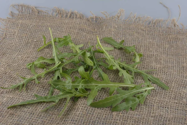 Fresh Green Arugula Bowl Table Arugula Rucola Salad Close Fresh — Stok fotoğraf