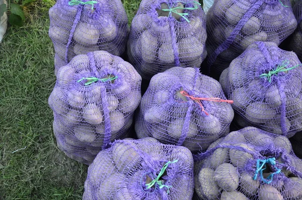 Aardappelen Net Hout Natuurlijke Aardappelen Netten Worden Aardappelen Meestal Verkocht — Stockfoto