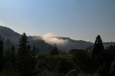 Dağların üzerinde gün doğumu. Puslu bir sabah manzarası. Dağların üzerinde sis ve şafak vakti mavi bir gökyüzünün altında orman..