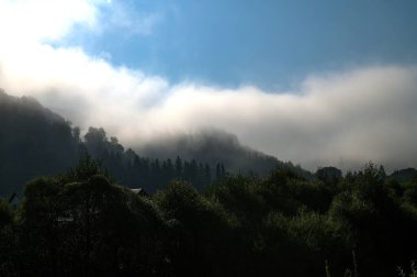 Dağların üzerinde gün doğumu. Puslu bir sabah manzarası. Dağların üzerinde sis ve şafak vakti mavi bir gökyüzünün altında orman..