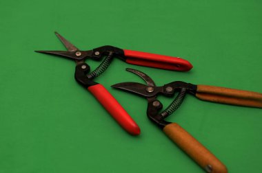 Bahçe budama makası ve kesiciler yeşil arka planda sıralanmış. Bahçe işleri, bitki bakımı, budama dalları ve bahçe işleri için aletler..