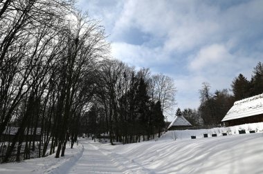 Kışın Lviv Skansen 'de Boykivshyna Etnoregion' ın geleneksel ahşap evleri. Karla kaplı çatılar, orman yamacı ve otantik Karpatya mimarisi..
