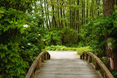 Kırsal ahşap köprü meyve bahçesine açılıyor..