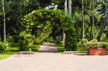 Parktaki asmanın dekoratif kemerleri.