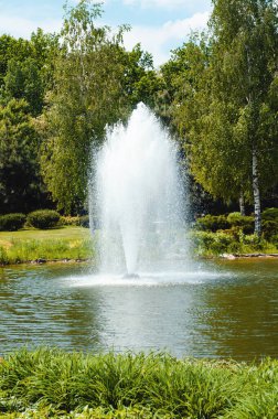 Yazın bir parkta gölün ortasında güzel bir çeşme.