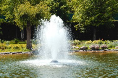 Yazın bir parkta gölün ortasında güzel bir çeşme.
