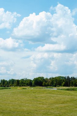 Golf sahası. Güzel manzara.