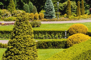Ağaçları, çalıları ve yeşil çimenleri olan güzel bir park.