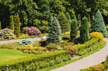 Ağaçları, çalıları ve yeşil çimenleri olan güzel bir park.