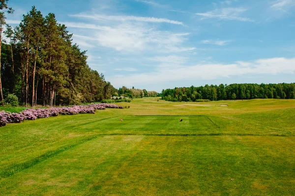 Groen Golfveld Blauwe Bewolkte Lucht Europees Landschap — Stockfoto