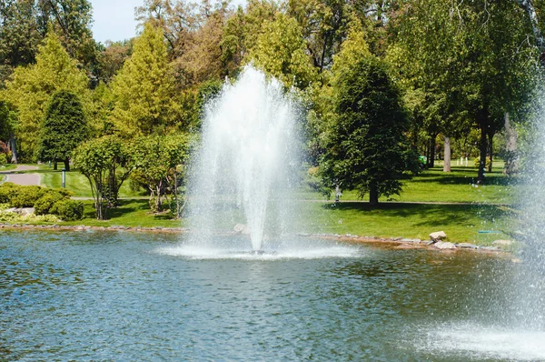 Yazın bir parkta gölün ortasında güzel bir çeşme.