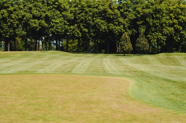 Golfplatzlandschaft Schöne Landschaft — Stockfoto