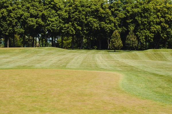 Paisagem Campos Golfe Bela Paisagem — Fotografia de Stock