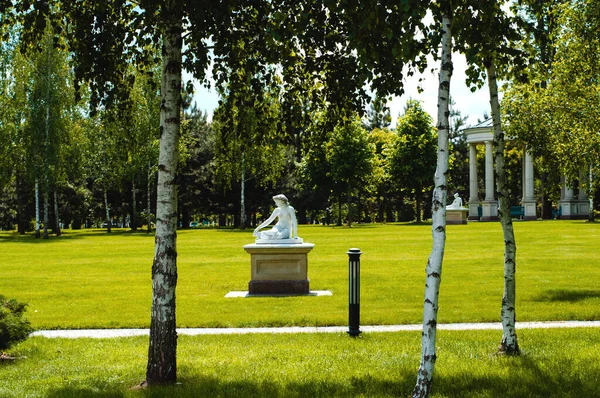 Ukraine Mezhygirya Mai 2019 Bouleau Dans Parc Sculptures — Photo