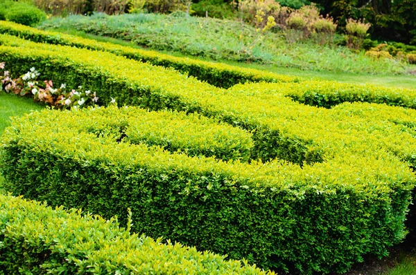 Ağaçları, çalıları ve yeşil çimenleri olan güzel bir park.