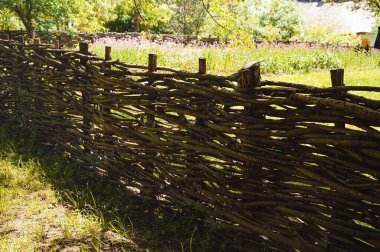 Eski bir çit, sarmaşık çiti
