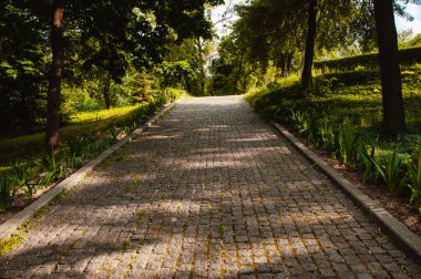 Yol parktaki kaldırımdan geliyor.