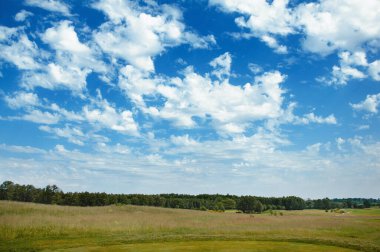 Yeşil alan, ağaç ve mavi gökyüzü. Arkaplan olarak harika, web pankartı