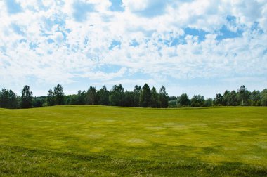 Yeşil alan, ağaç ve mavi gökyüzü. Arkaplan olarak harika, web pankartı