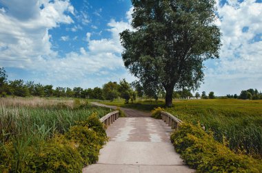 Golf sahasında tahta parmaklıkları olan bir köprü. Güzel doğa ve bulutlu gökyüzü.