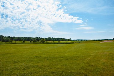Yeşil alan, ağaç ve mavi gökyüzü. Arkaplan olarak harika, web pankartı