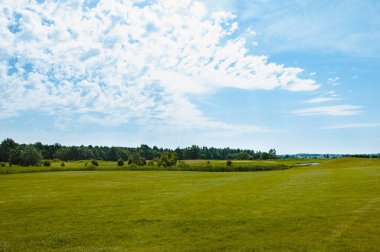 Yeşil alan, ağaç ve mavi gökyüzü. Arkaplan olarak harika, web pankartı