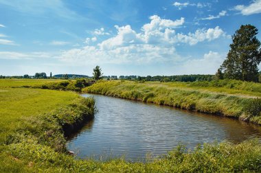 Golf sahasında göl. Güzel sülün, mavi bulutlu gökyüzü, golf sahasında ağaçlar ve çalılar.