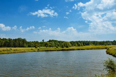 Golf sahasında göl. Güzel sülün, mavi bulutlu gökyüzü, golf sahasında ağaçlar ve çalılar.