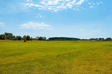 Yeşil alan, ağaç ve mavi gökyüzü. Arkaplan olarak harika, web pankartı